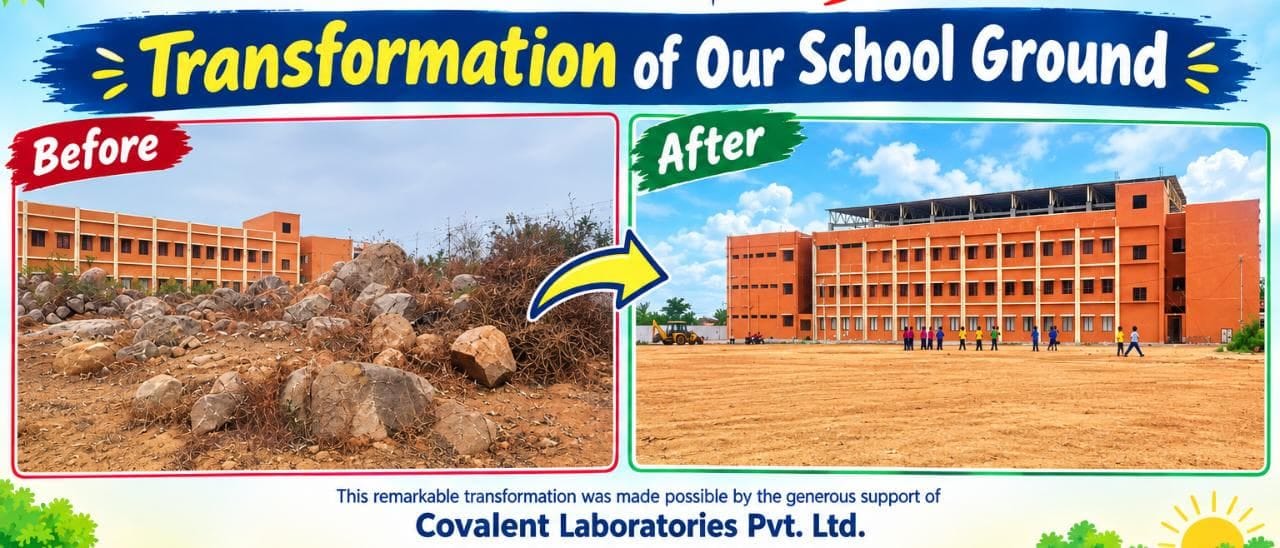 School Ground Development